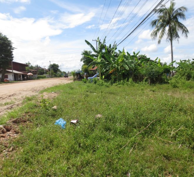 Land for Sale (1)