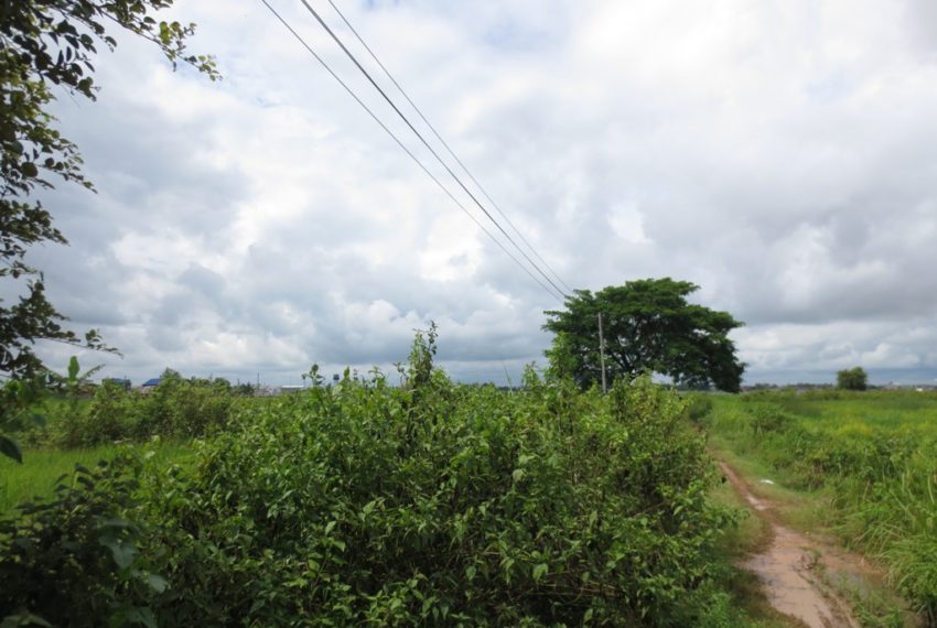 Land for Sale (1)