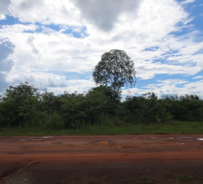 Land for Sale (1)