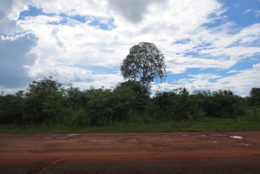 Land for Sale (1)