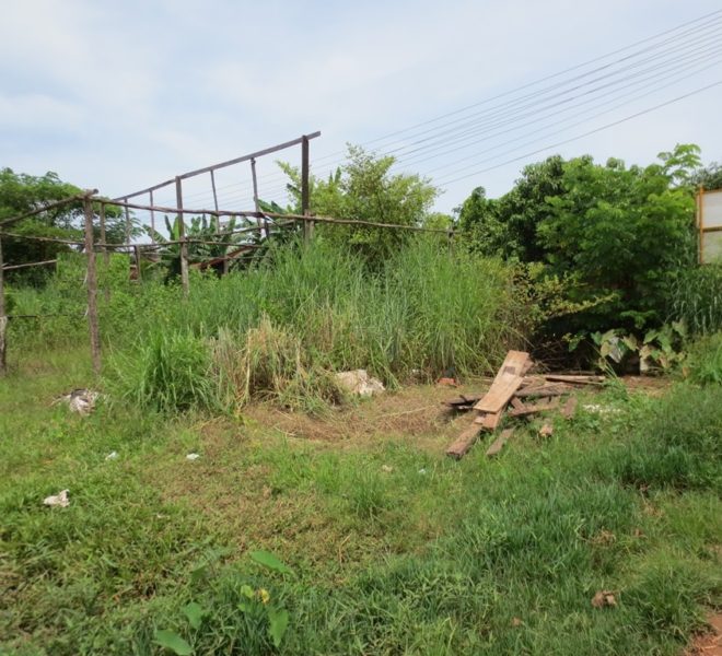 Land for Sale (1)