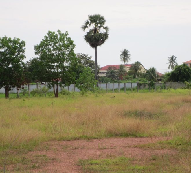 Land for Sale (1)