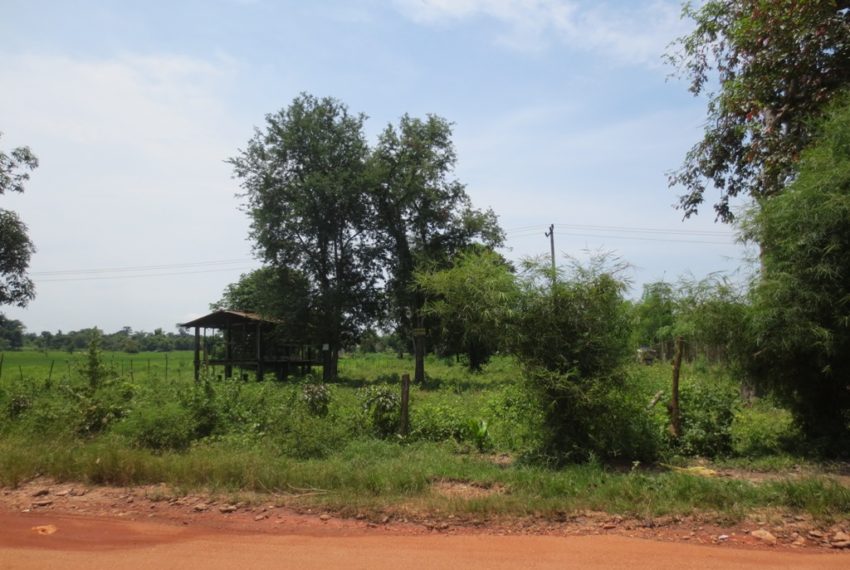 Land for Sale (1)