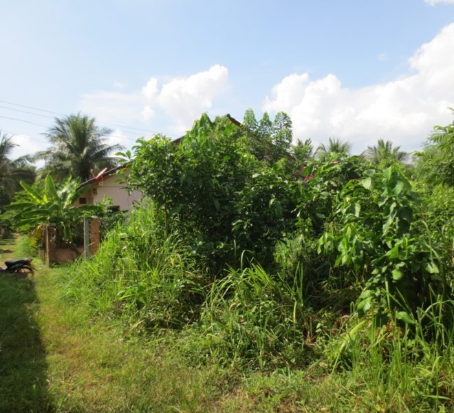 Land for Sale (1)