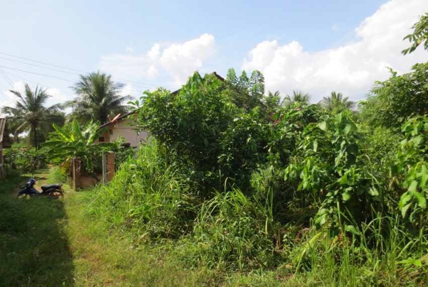 Land for Sale (1)