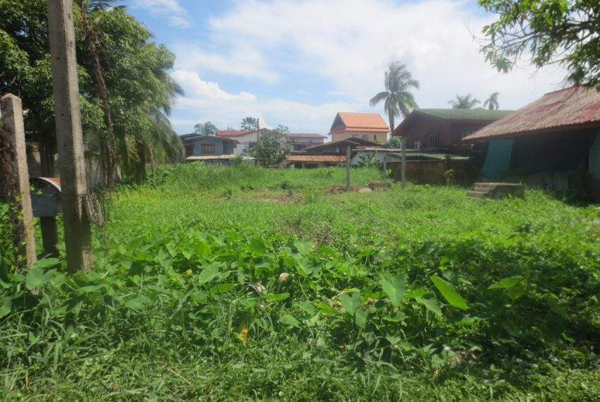 Land for Sale (1)