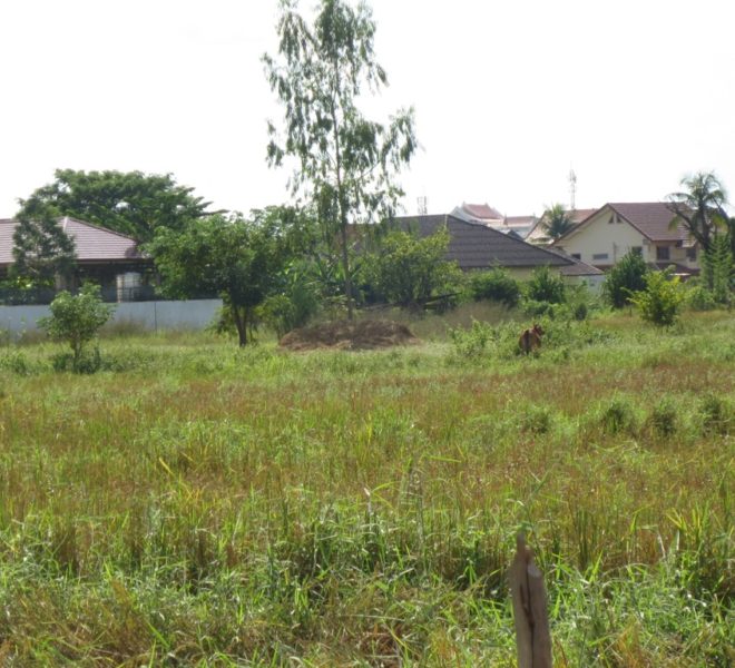 Land for Sale (1)