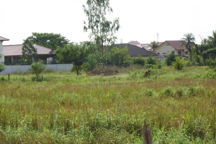 Land for Sale (1)