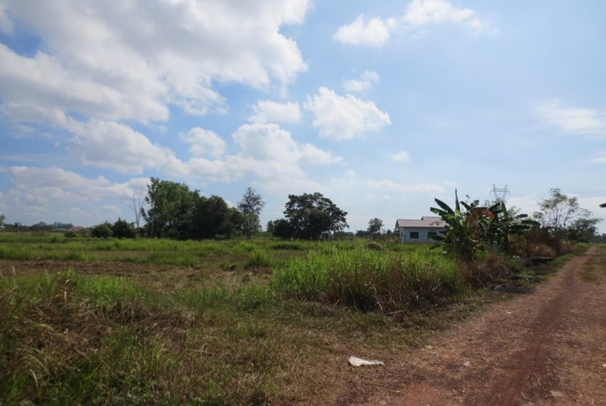 Land for Sale (1)