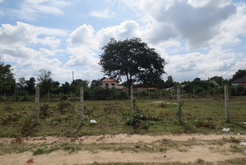 Land for Sale (1)