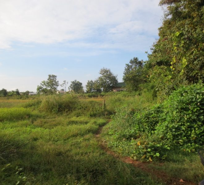 Land for Sale (1)