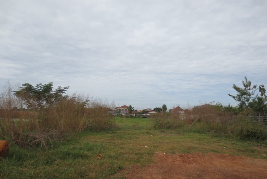 Land for Sale (1)