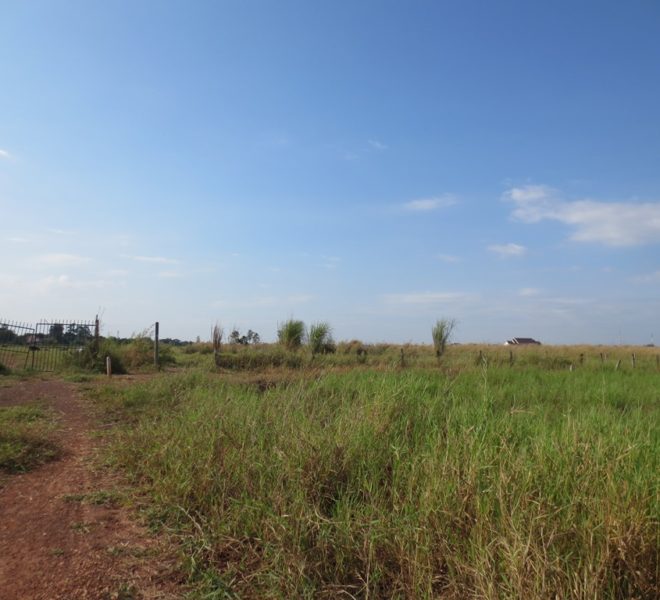 Land for Sale (1)