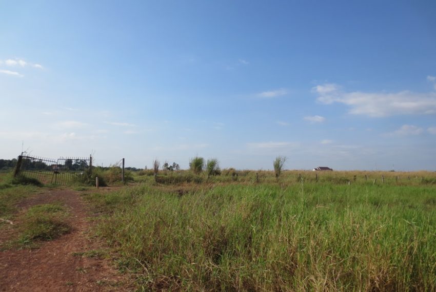 Land for Sale (1)