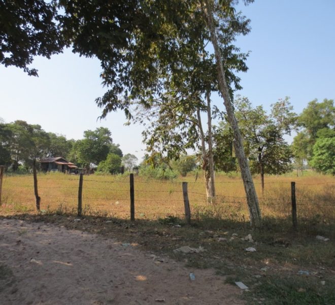 Land for Sale (1)