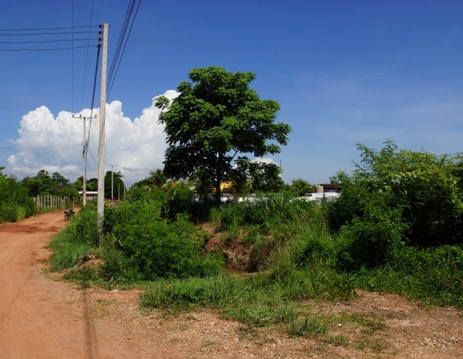 Land for Sale (1)