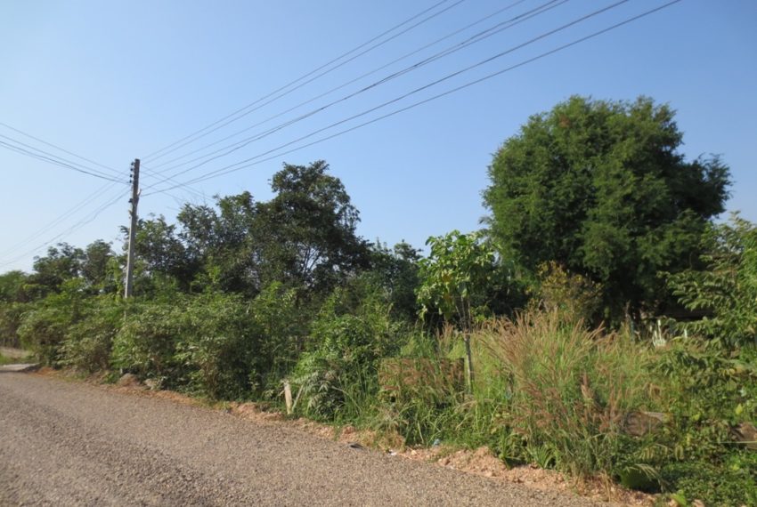 Land for Sale (1)