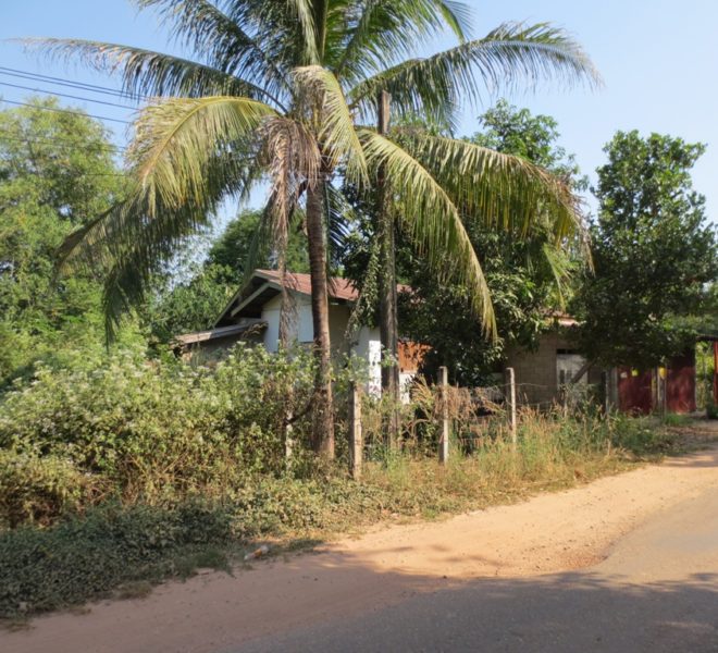 Land for Sale (1)