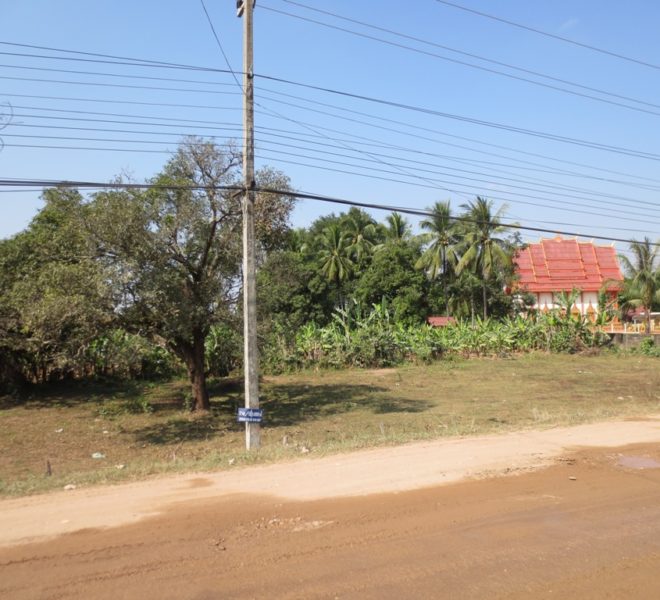 Land for Sale (1)