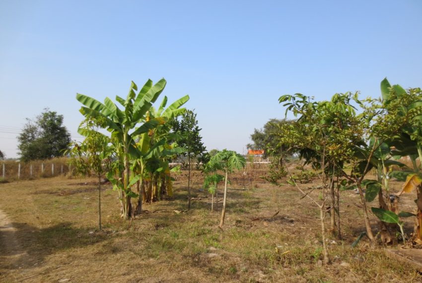 Land for Sale (1)