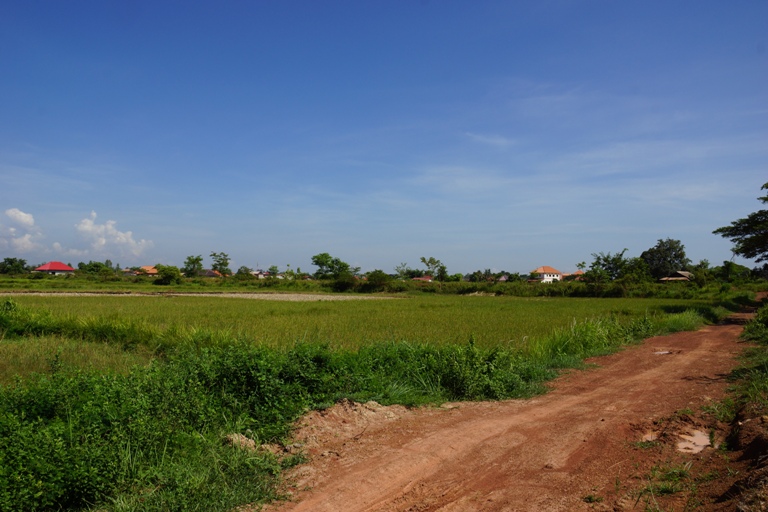 Land for Sale (1)