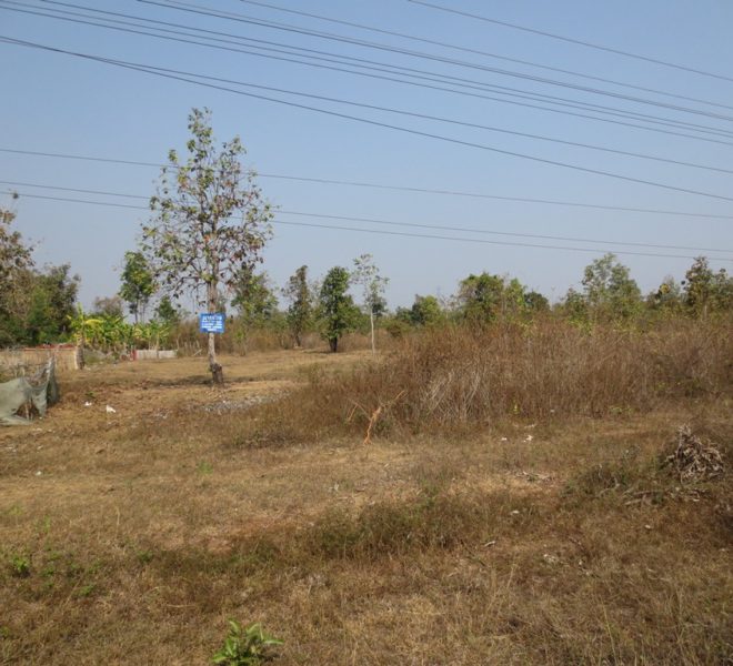Land for Sale (1)