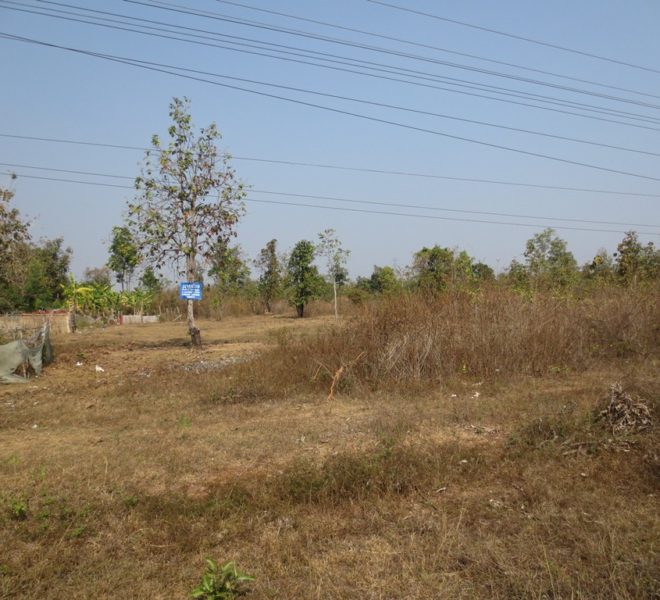 Land for Sale (1)