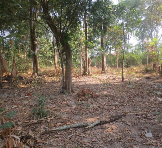 Land for Sale (1)