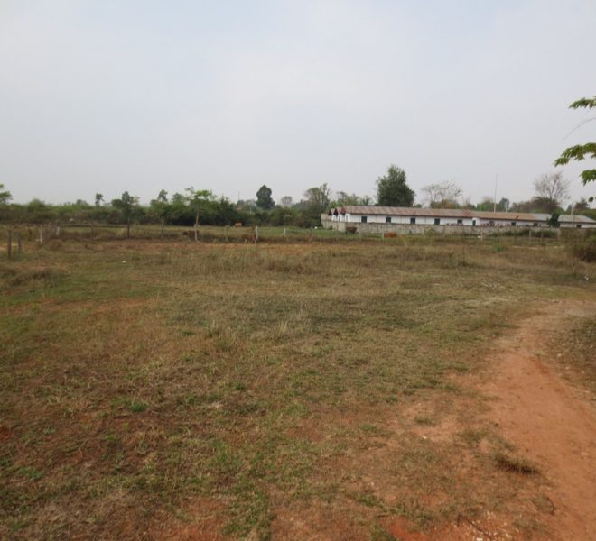 Land for Sale (1)