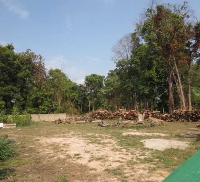 Land for Sale (1)