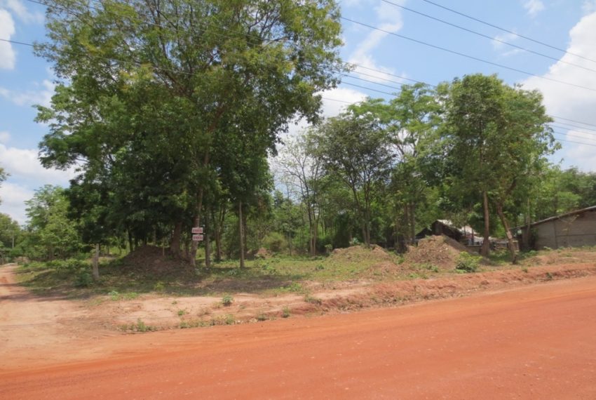 Land for Sale (1)