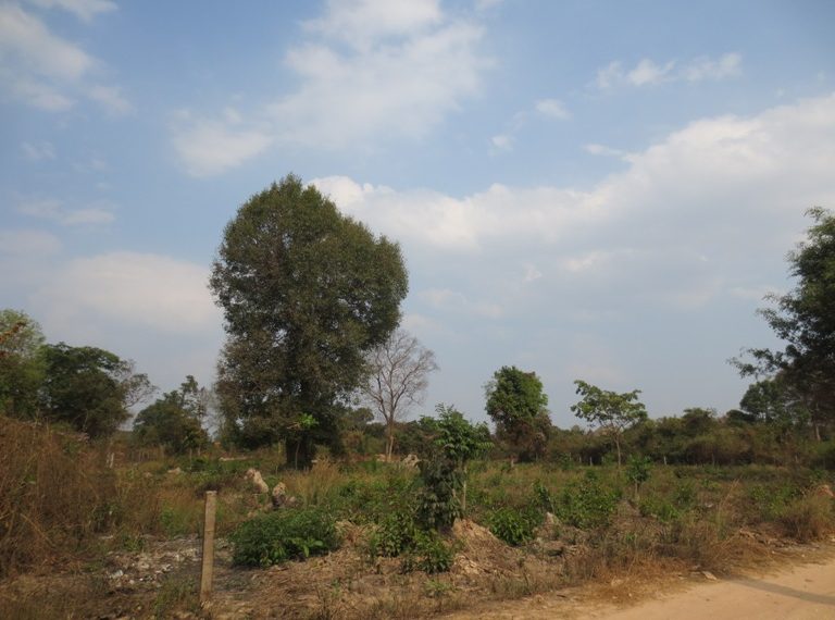 Land for Sale (1)