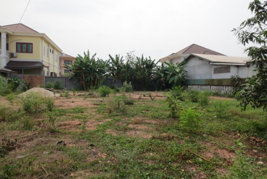 Land for Sale (1)