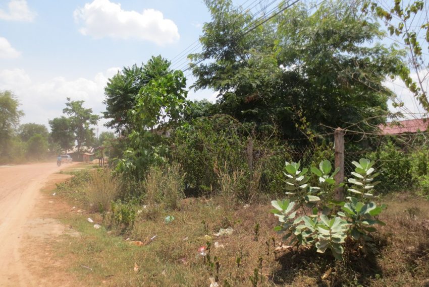 Land for Sale (1)