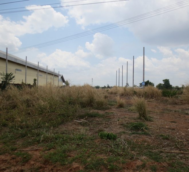 Land for Sale (1)