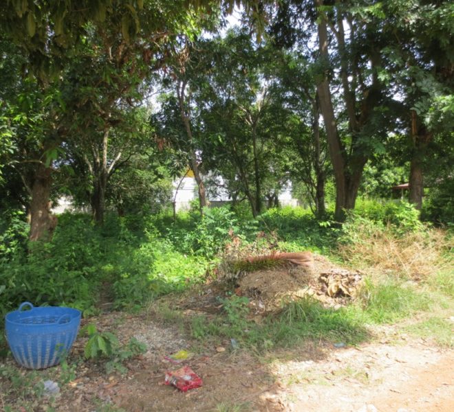 Land for Sale (1)