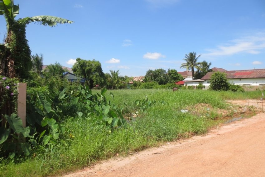 Land for Sale (1)