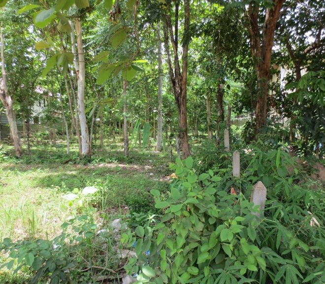 Land for Sale  (1)