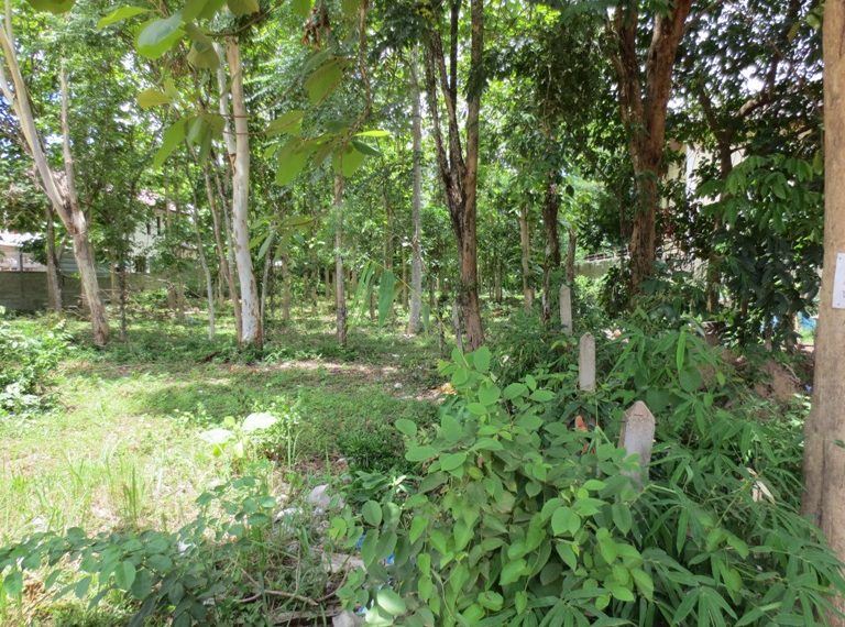 Land for Sale  (1)