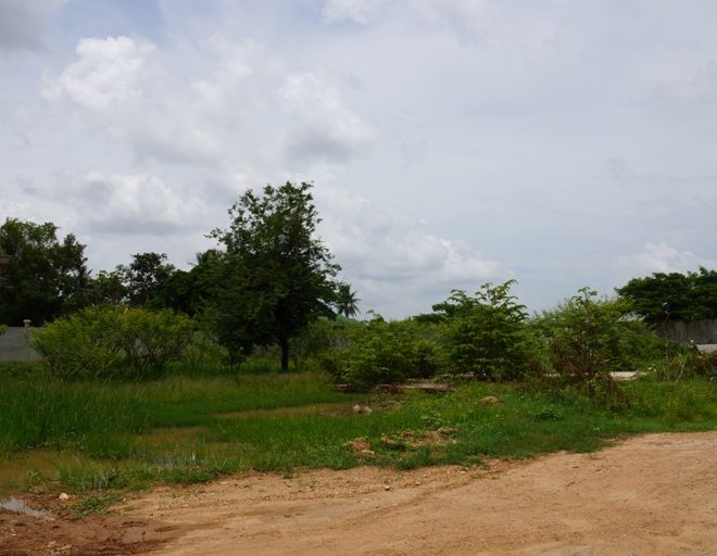 Land for Sale (1)