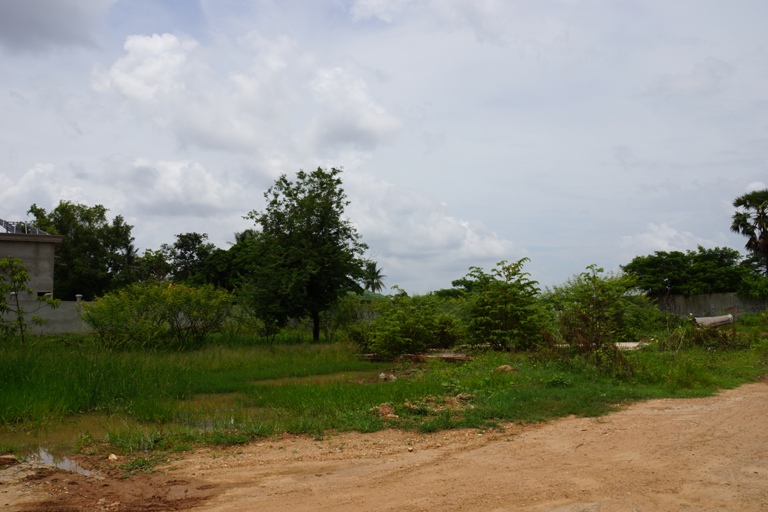 Land for Sale (1)