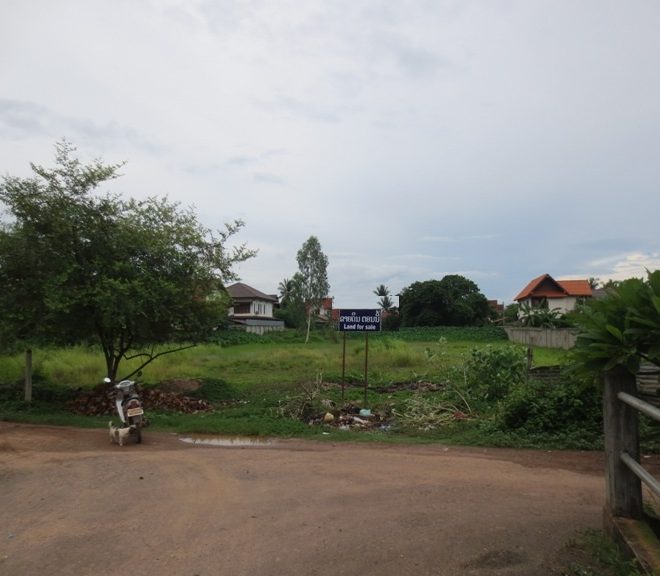 Land for Sale (1)