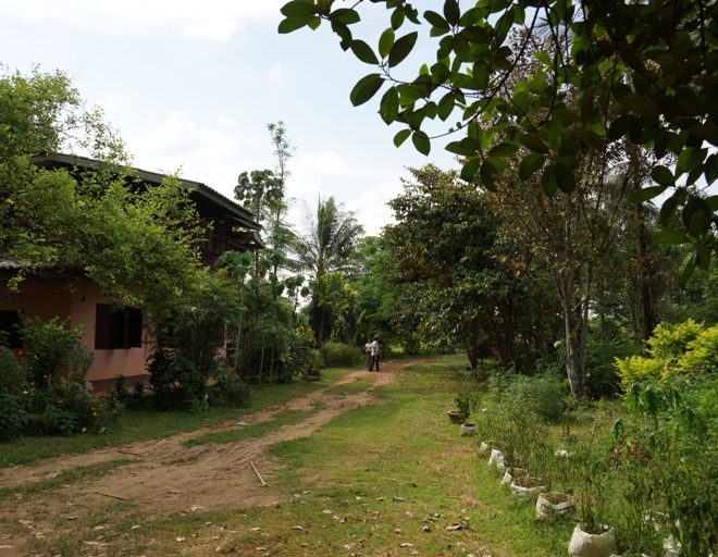 Land for Sale (1)