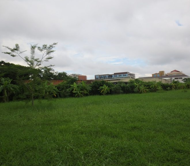 Land for Sale (1)