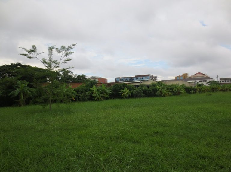 Land for Sale (1)