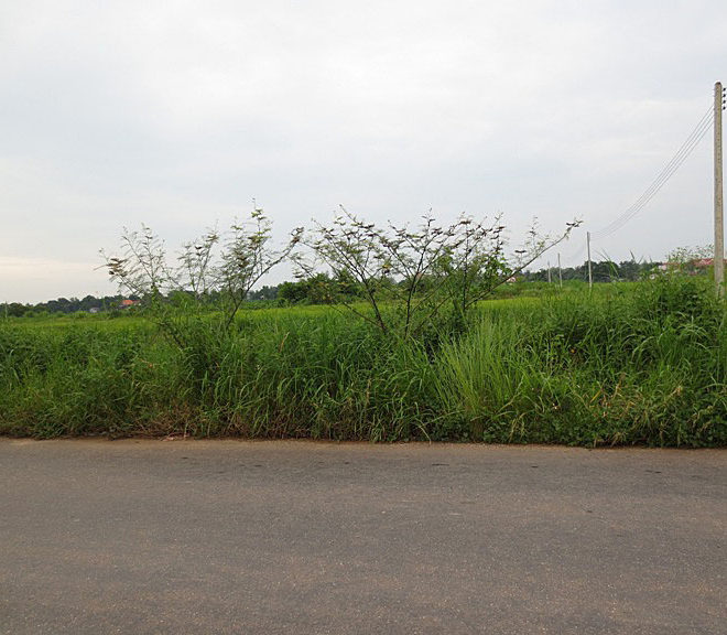 Land for Sale (1)