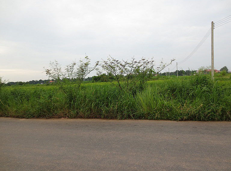 Land for Sale (1)