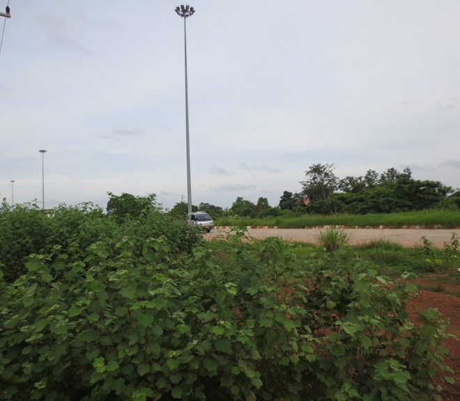 Land for Sale (1)