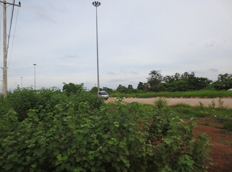 Land for Sale (1)