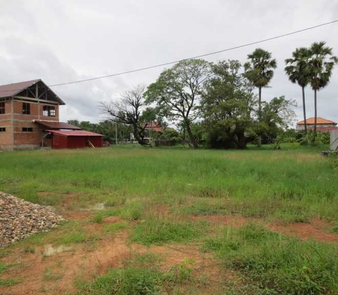 Land for Sale (1)